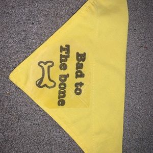 Over the collar bandana